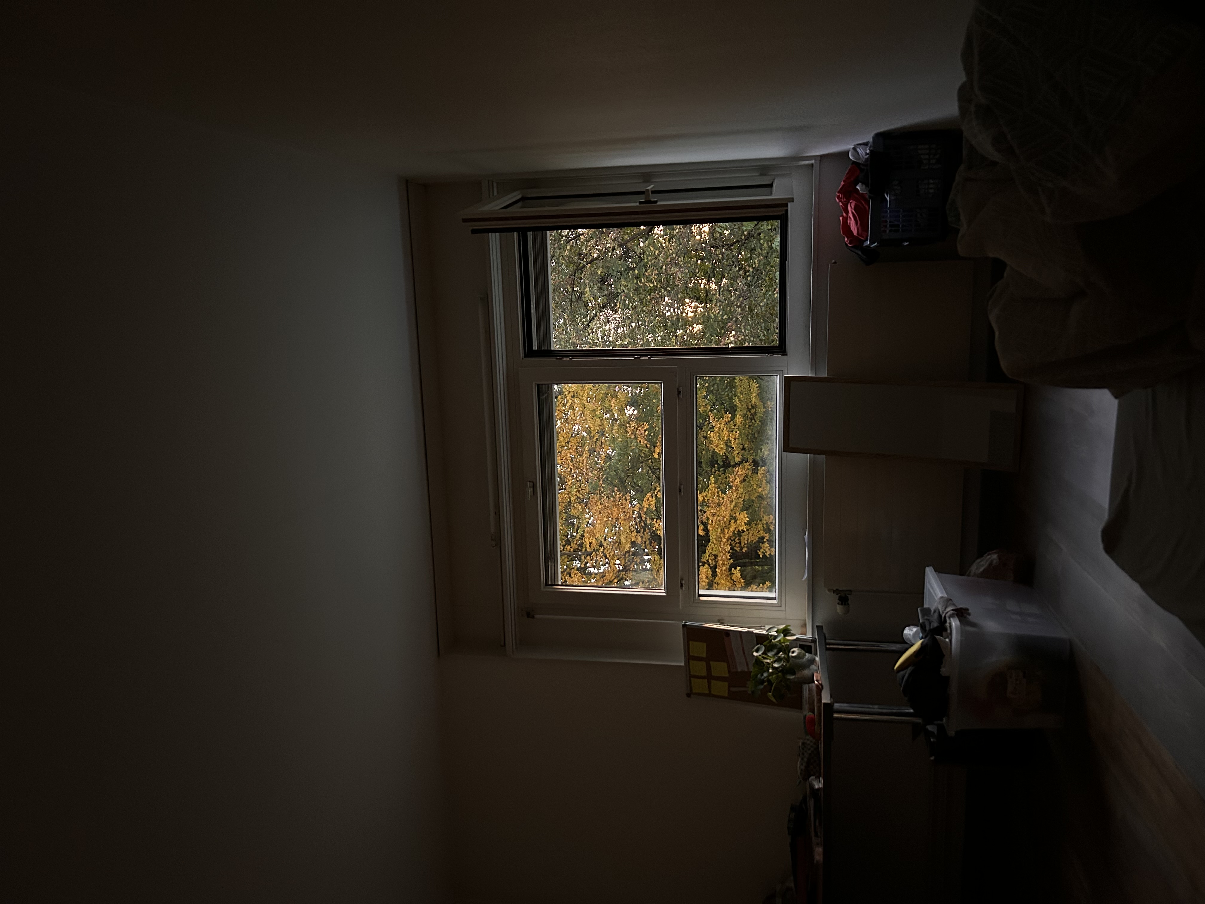 Review photo 4