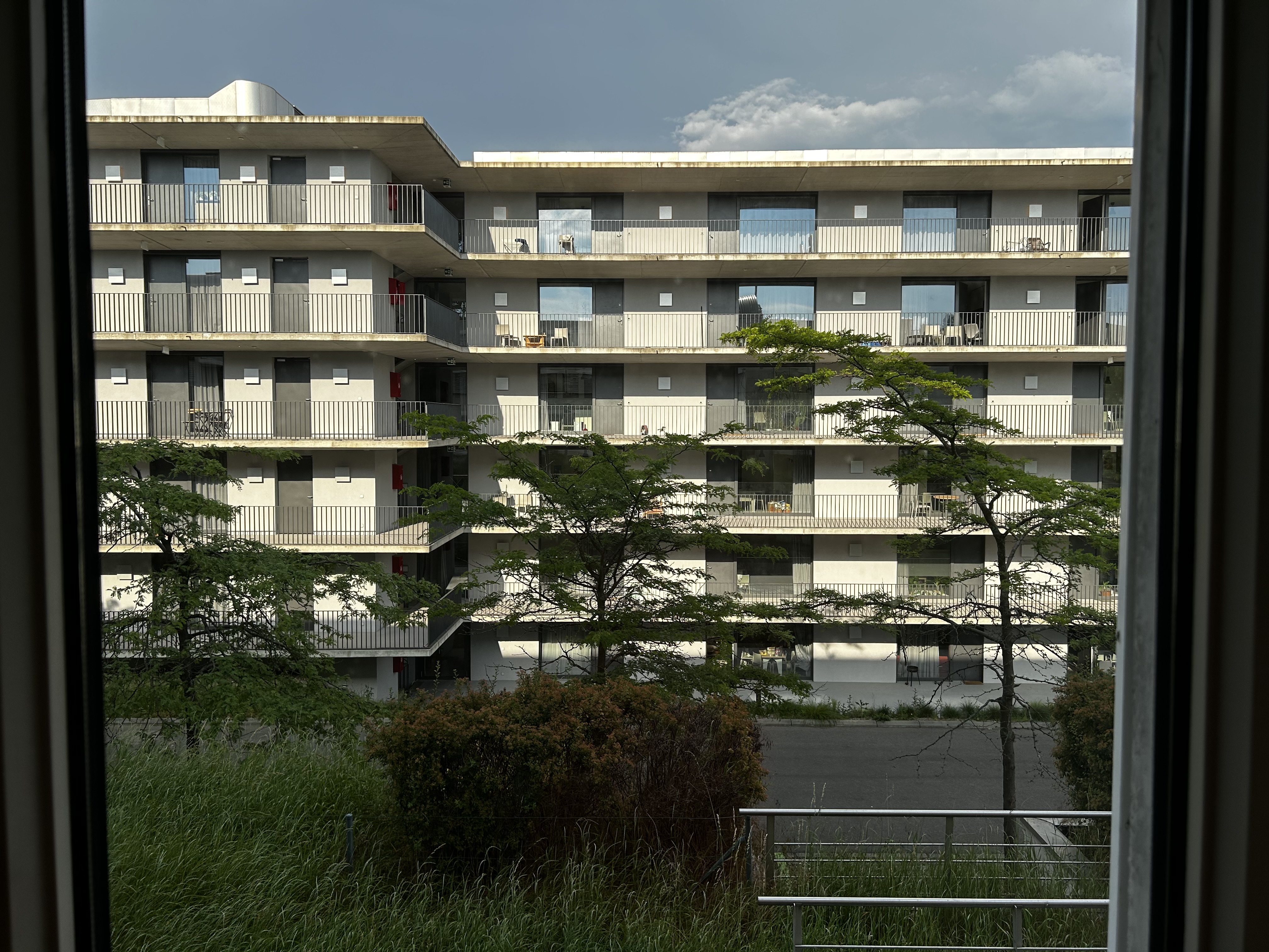 Review photo 1